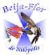 Beija-Flor de Nilpolis
